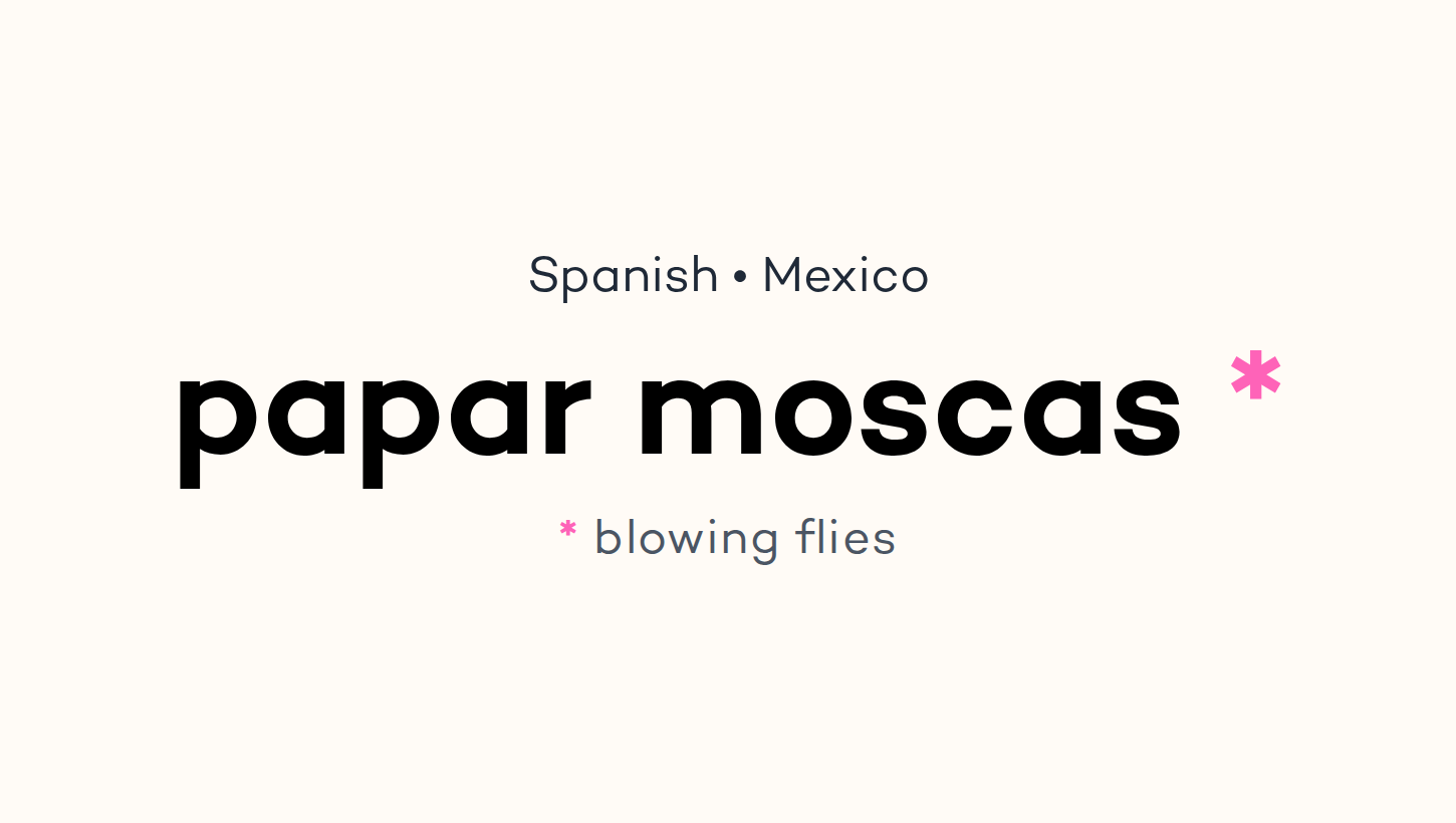 papar moscas